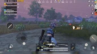 精英僵尸爆料攻略视频大全,全方位解析僵尸生存技巧