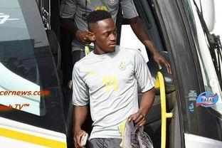 阿姆最新爆料新闻视频播放,揭秘娱乐圈惊人内幕